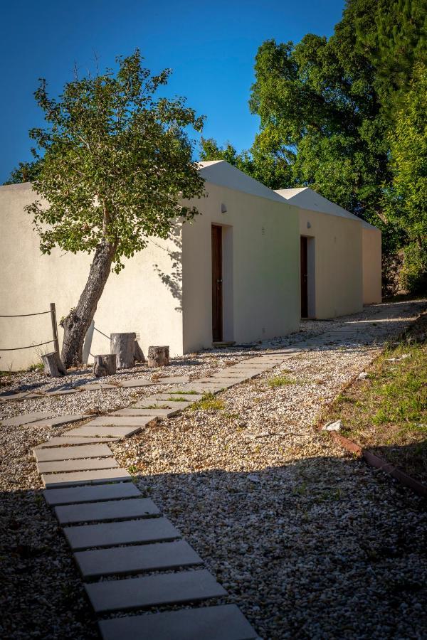 Amare Country House Caminha Dış mekan fotoğraf